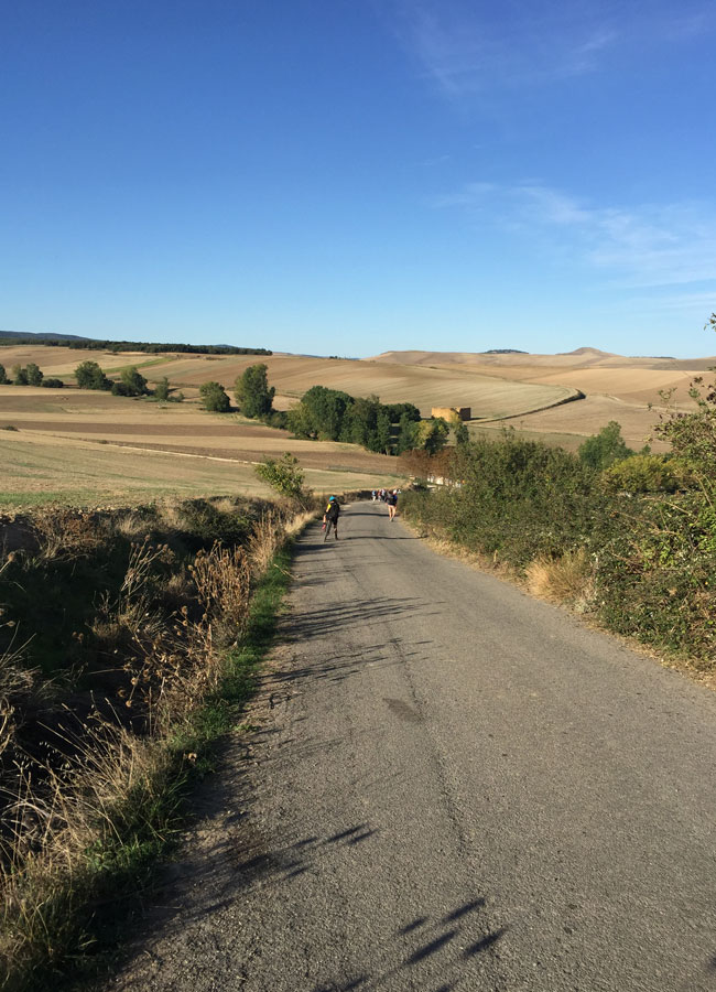 Camino de Santiago de Compostela