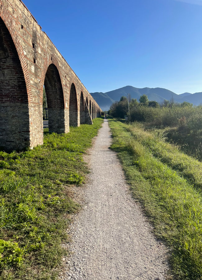 Toscana e Italia en Bicicleta