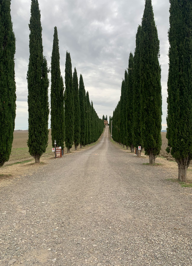 Toscana e Italia en Bicicleta